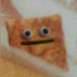 Meet your Posher, Lydia